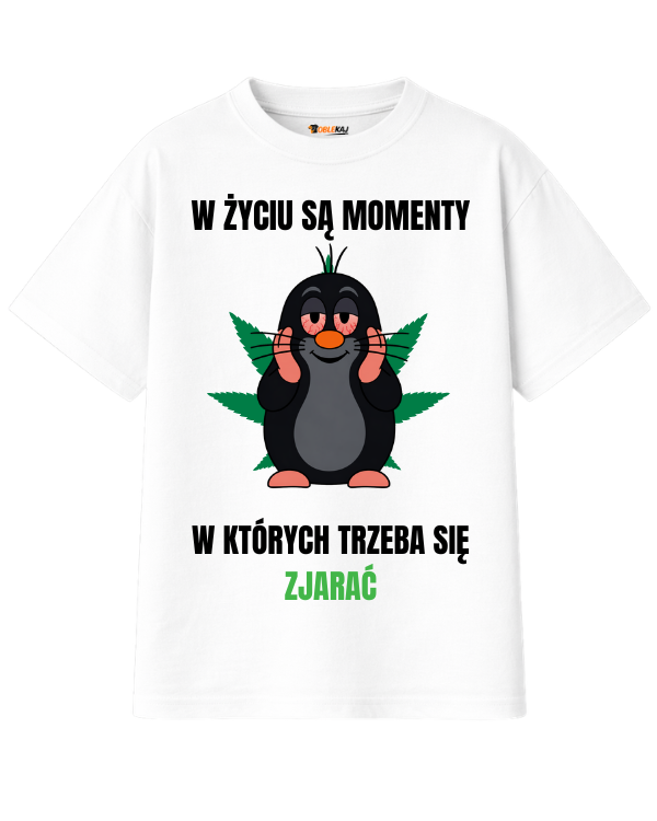 T-shirt Oversize  ''KRECIK'' - W życiu są momenty, w których trzeba się zjarać - OBLEKAJ